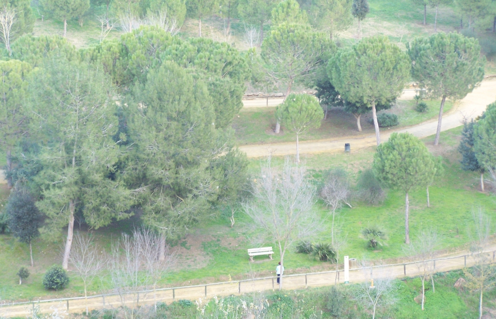 Acometern obras de mejora en el camino de Cuesta Carretilla