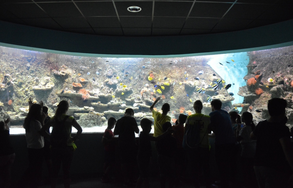 De excursin al Acuario de Sevilla y la Plaza de Espaa con el Ropero del Socorro