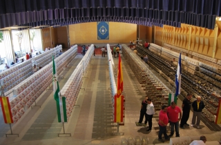 El concurso ornitológico de Alcalá, uno de los más importantes de España, abre al público