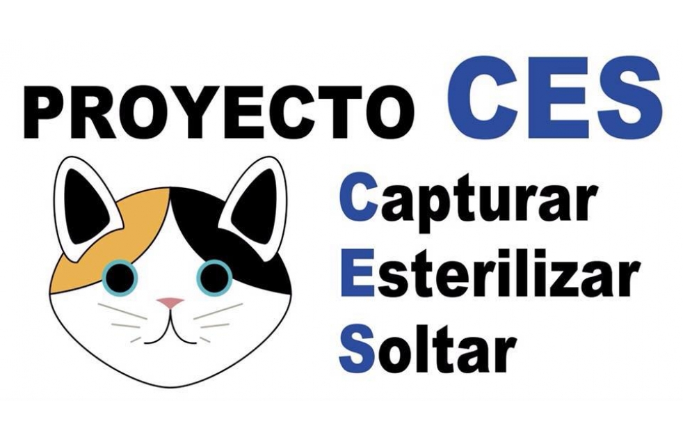 Campaa para esterilizar los gatos callejeros