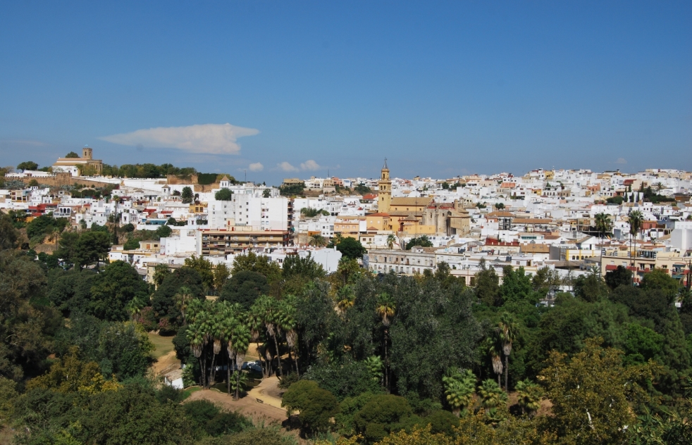Los andalucistas llevan a Pleno un plan para reforestar el casco urbano 