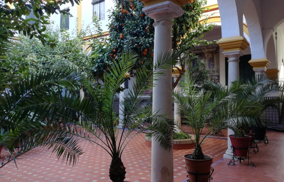 Exposicin de dulces y precioso beln en el convento de Santa Clara 