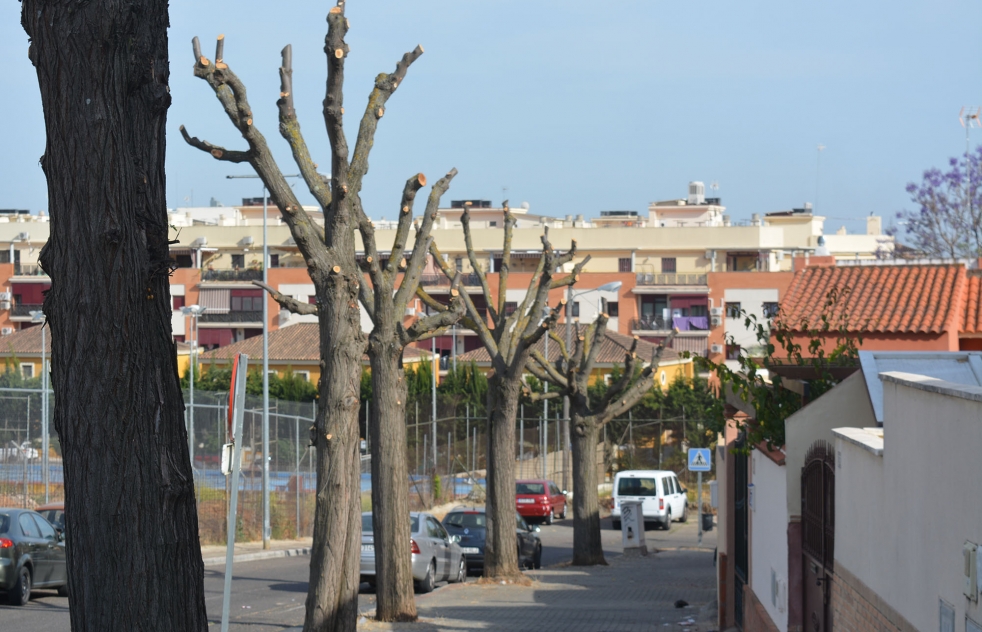 Andaluca Por S denuncia la poda 