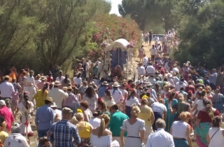 EN VDEO. La Hermandad del Roco de Alcal cruza el Quema