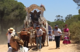 EN IMGENES. El camino de la Hermandad del Roco de este jueves