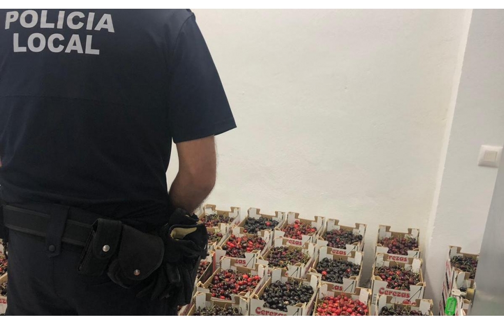 La Polica Local de Alcal decomisa ms de 400 kilos de cerezas no aptas para el consumo
