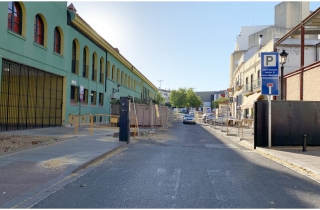 Andaluca Por S pide al gobierno que se comprometa a plantar ms rboles de gran tamao en el Callejn del Huerto 