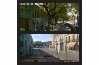Alcalá pierde sus árboles