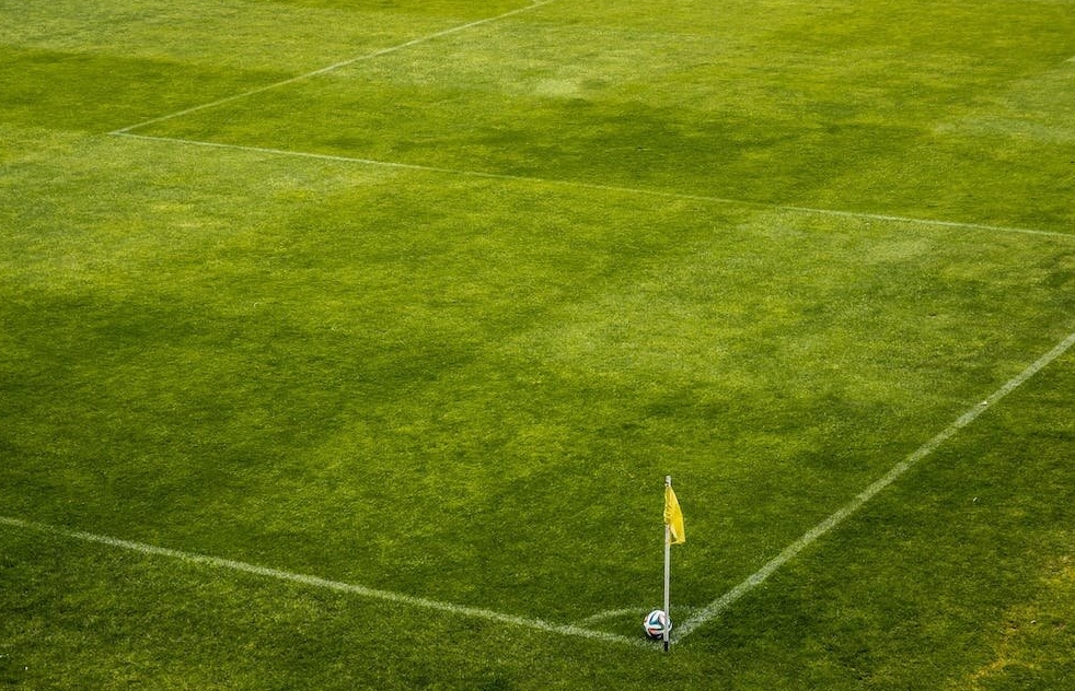 España parte como uno de los favoritos europeos para ganar la Copa del Mundo 