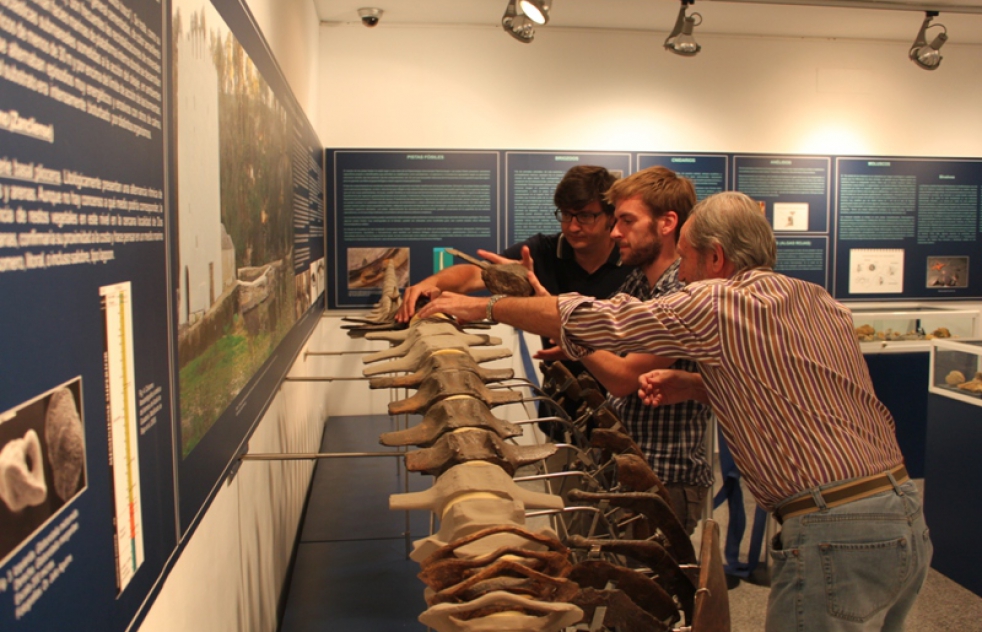 El Museo de Historia Natural de Tokyo se interesa por la ballena de Alcal