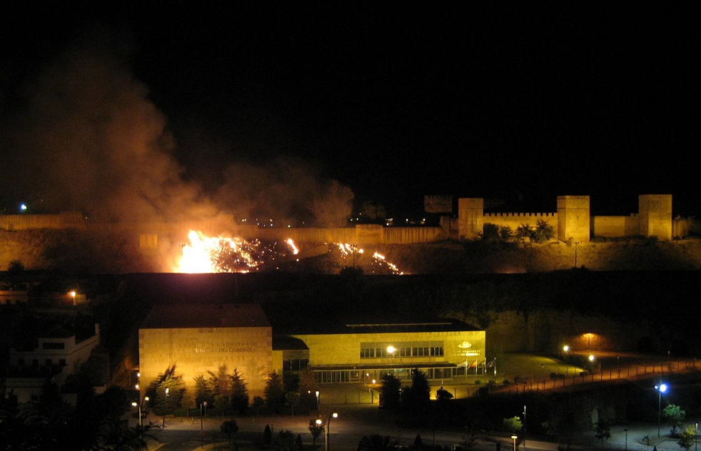 Incendio en la ladera norte del Castillo